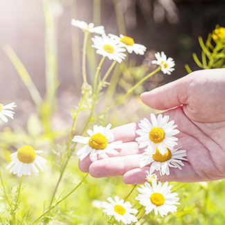 イメージ：マインドフルネス