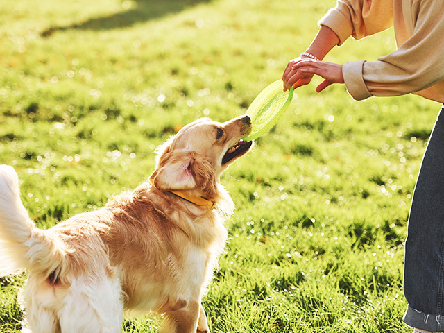 イメージ：マインドフルネス