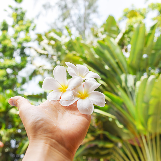 Sloganのイラスト